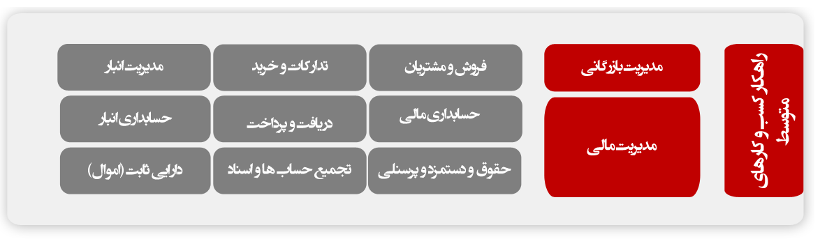 سبد محصولی راهکار کسب و کار متوسط