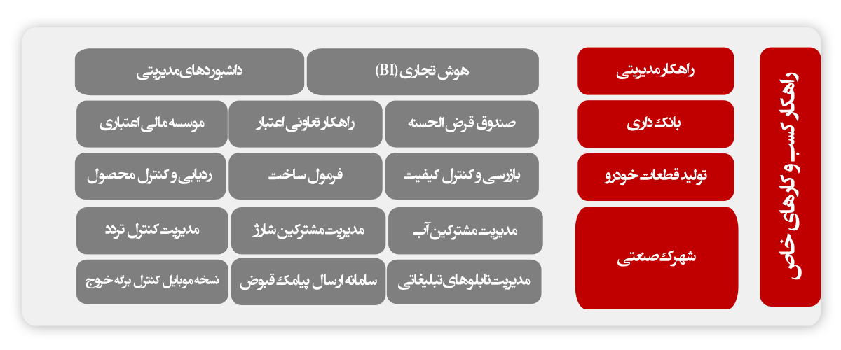 سبد محصولی راهکار کسب و کار خاص